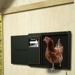 Automatisk kycklingskinnsöppnare med kycklingskinn - Lyxmodell - Metall med batteripack, solceller och enkel programmering